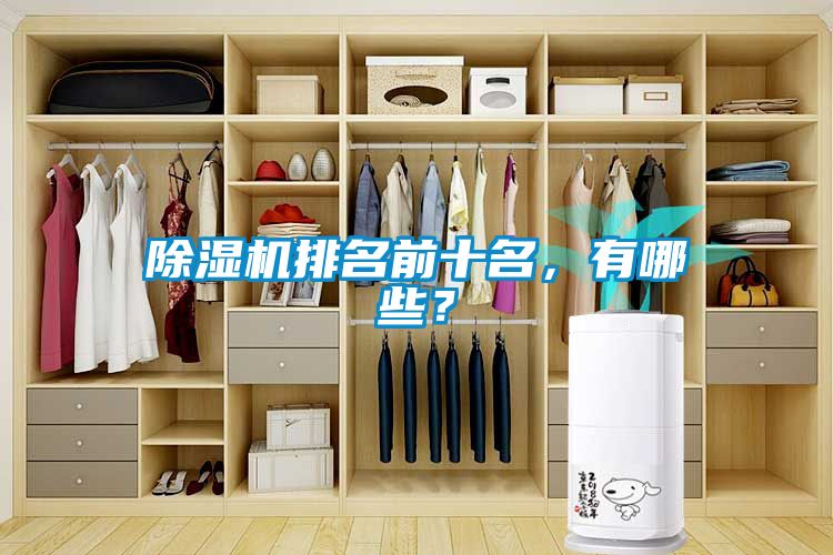 除濕機排名前十名，有哪些？