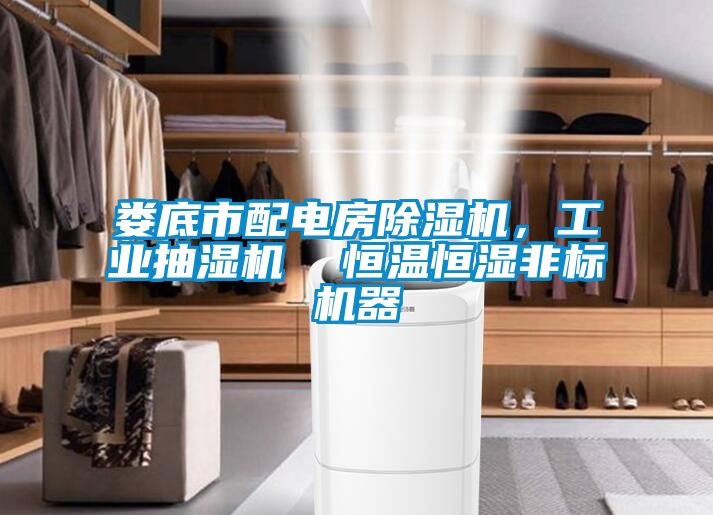 婁底市配電房除濕機(jī)，工業(yè)抽濕機(jī)  恒溫恒濕非標(biāo)機(jī)器