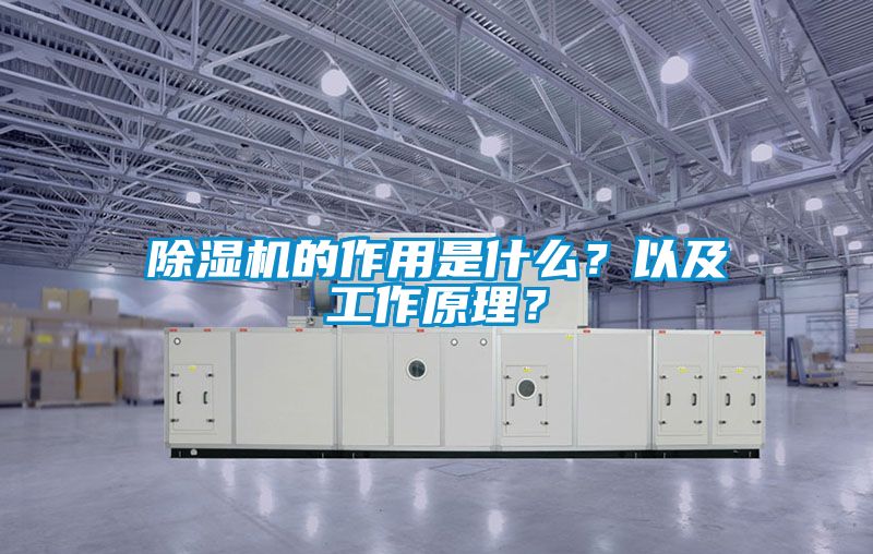 除濕機的作用是什么？以及工作原理？