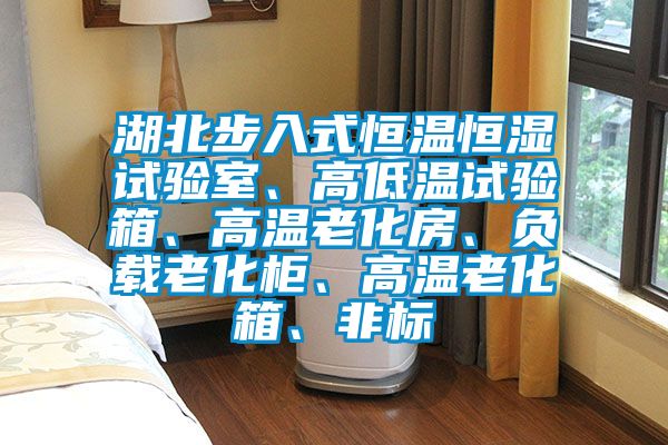 湖北步入式恒溫恒濕試驗室、高低溫試驗箱、高溫老化房、負載老化柜、高溫老化箱、非標