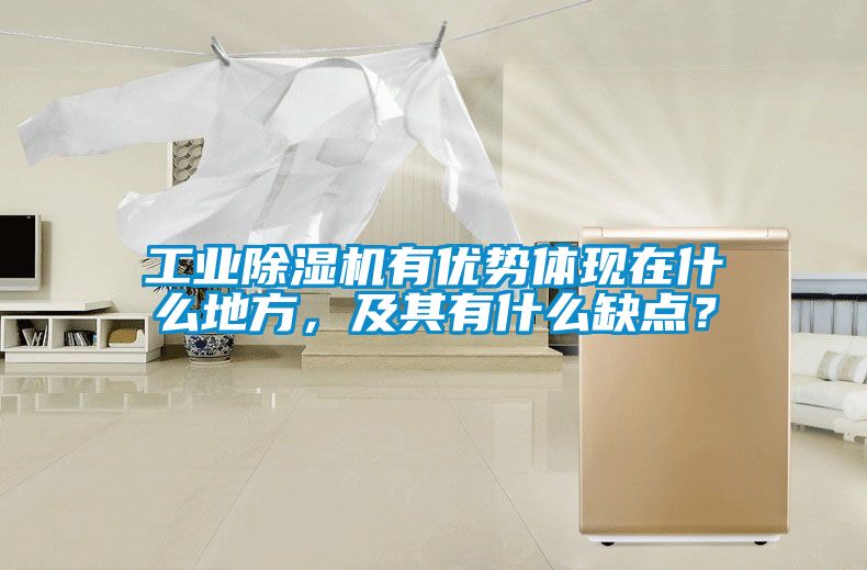 工業(yè)除濕機有優(yōu)勢體現(xiàn)在什么地方，及其有什么缺點？