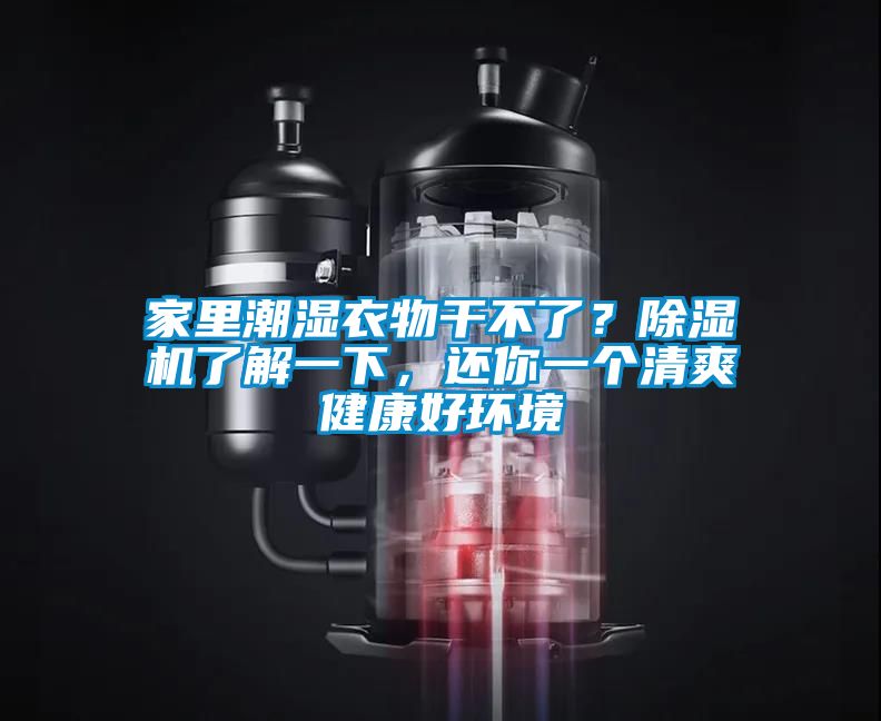 家里潮濕衣物干不了？除濕機了解一下，還你一個清爽健康好環(huán)境