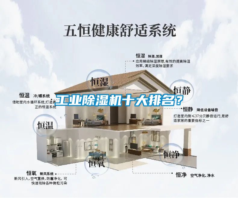 工業(yè)除濕機十大排名？