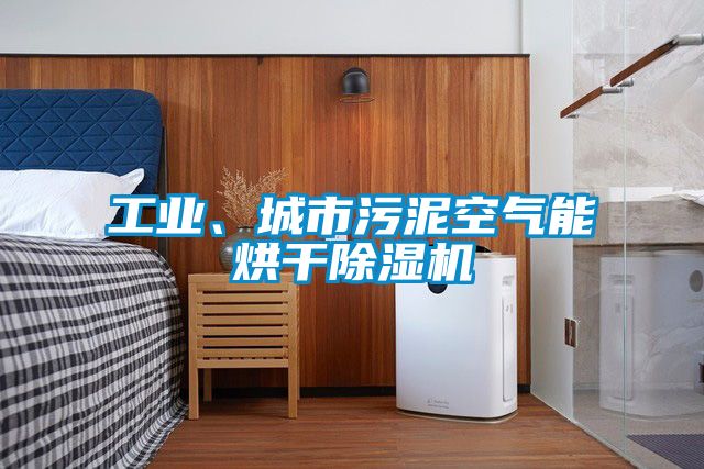 工業(yè)、城市污泥空氣能烘干除濕機(jī)