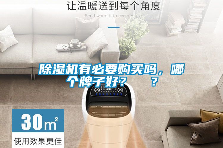 除濕機有必要購買嗎，哪個牌子好？  ？