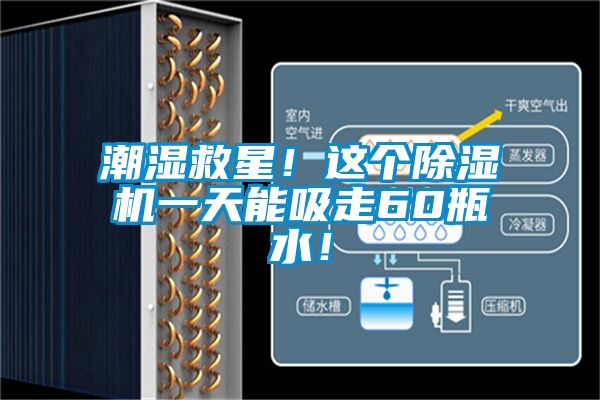 潮濕救星！這個(gè)除濕機(jī)一天能吸走60瓶水！