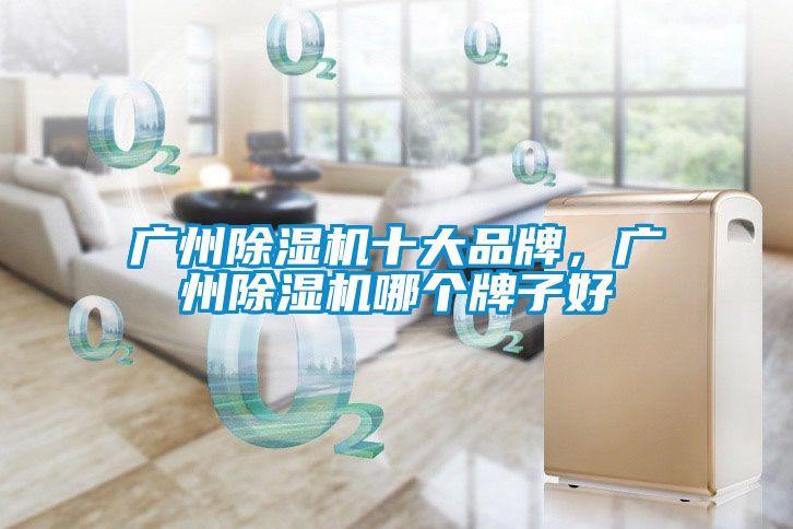 廣州除濕機(jī)十大品牌，廣州除濕機(jī)哪個(gè)牌子好