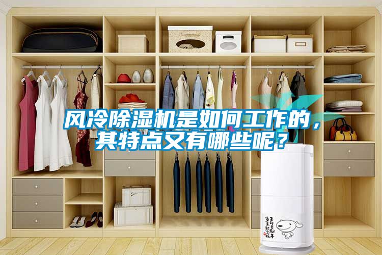 風(fēng)冷除濕機是如何工作的，其特點又有哪些呢？