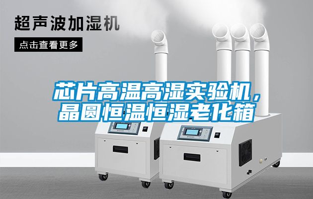 芯片高溫高濕實(shí)驗(yàn)機(jī)，晶圓恒溫恒濕老化箱