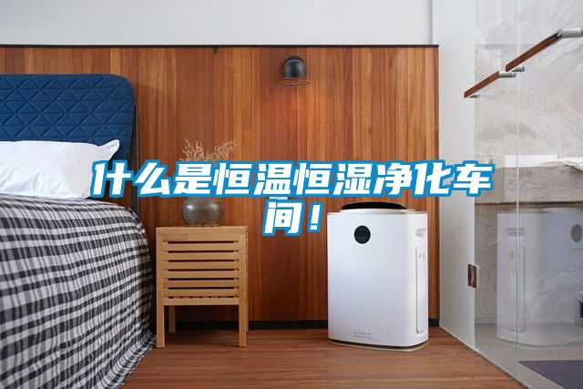 什么是恒溫恒濕凈化車間！
