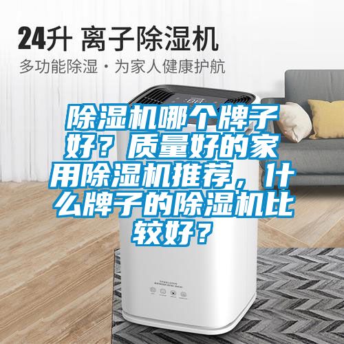 除濕機(jī)哪個(gè)牌子好？質(zhì)量好的家用除濕機(jī)推薦，什么牌子的除濕機(jī)比較好？