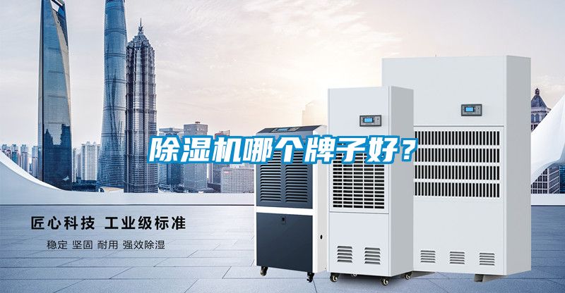 除濕機(jī)哪個(gè)牌子好？