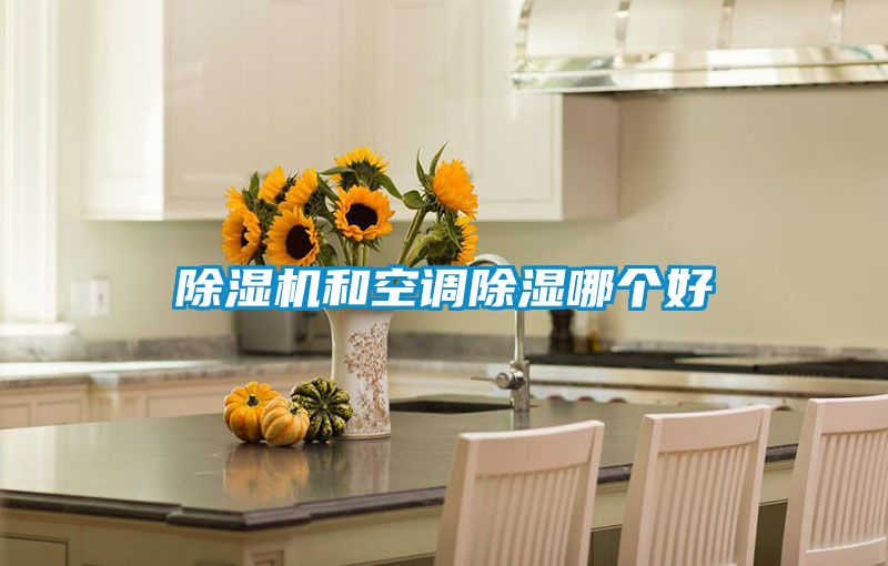 除濕機(jī)和空調(diào)除濕哪個好