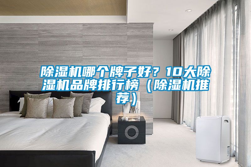 除濕機(jī)哪個(gè)牌子好？10大除濕機(jī)品牌排行榜（除濕機(jī)推薦）
