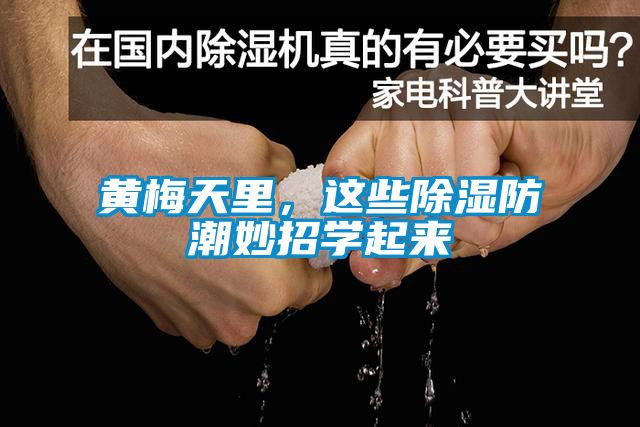 黃梅天里，這些除濕防潮妙招學(xué)起來