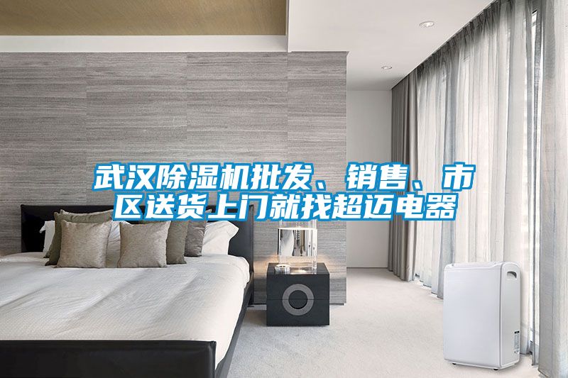 武漢除濕機(jī)批發(fā)、銷售、市區(qū)送貨上門就找超邁電器