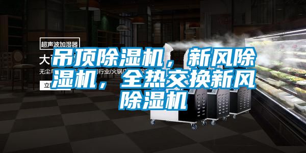 吊頂除濕機(jī)，新風(fēng)除濕機(jī)，全熱交換新風(fēng)除濕機(jī)
