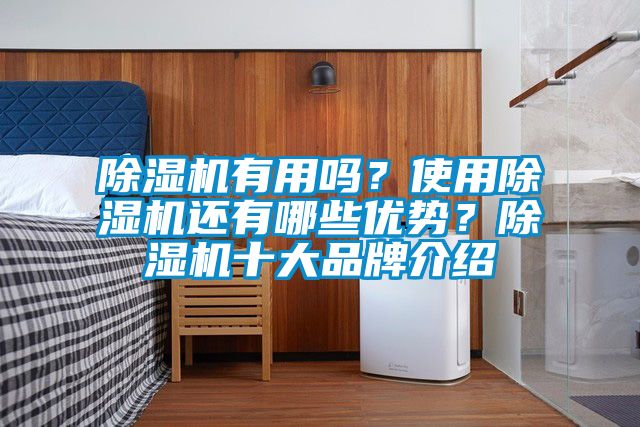 除濕機有用嗎？使用除濕機還有哪些優(yōu)勢？除濕機十大品牌介紹