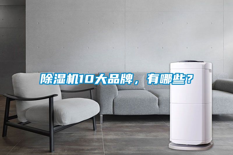 除濕機10大品牌，有哪些？