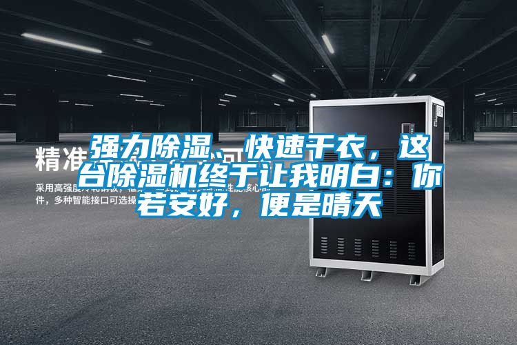 強力除濕、快速干衣，這臺除濕機終于讓我明白：你若安好，便是晴天