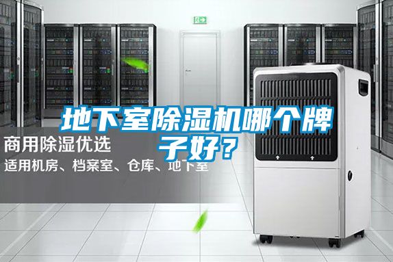 地下室除濕機(jī)哪個(gè)牌子好？