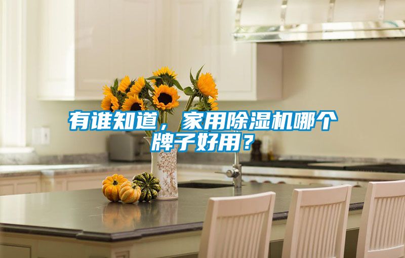 有誰(shuí)知道，家用除濕機(jī)哪個(gè)牌子好用？