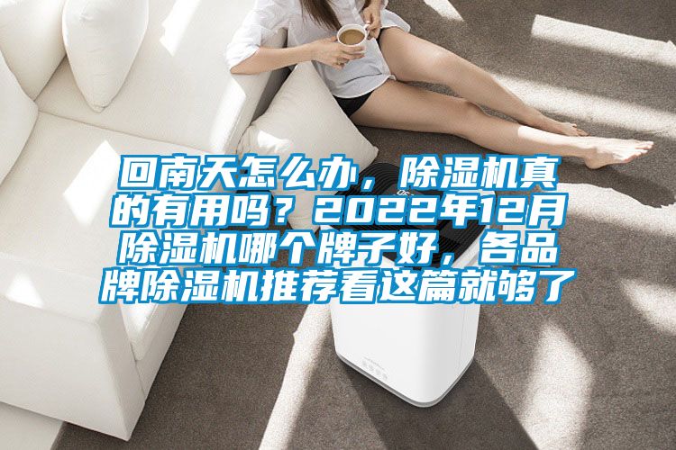 回南天怎么辦，除濕機(jī)真的有用嗎？2022年12月除濕機(jī)哪個牌子好，各品牌除濕機(jī)推薦看這篇就夠了