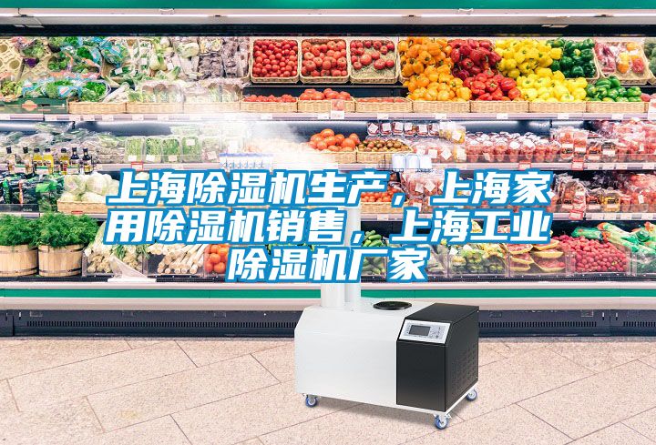 上海除濕機生產(chǎn)，上海家用除濕機銷售，上海工業(yè)除濕機廠家