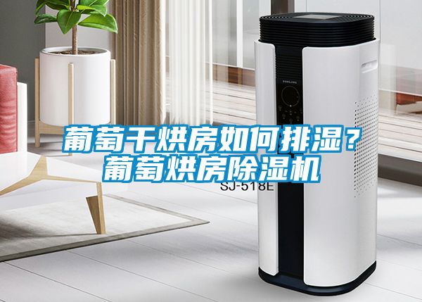葡萄干烘房如何排濕？葡萄烘房除濕機(jī)