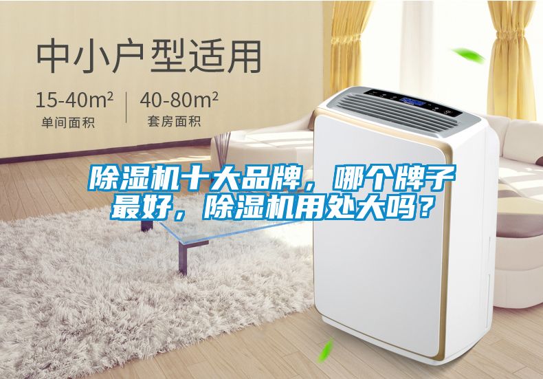 除濕機(jī)十大品牌，哪個(gè)牌子最好，除濕機(jī)用處大嗎？