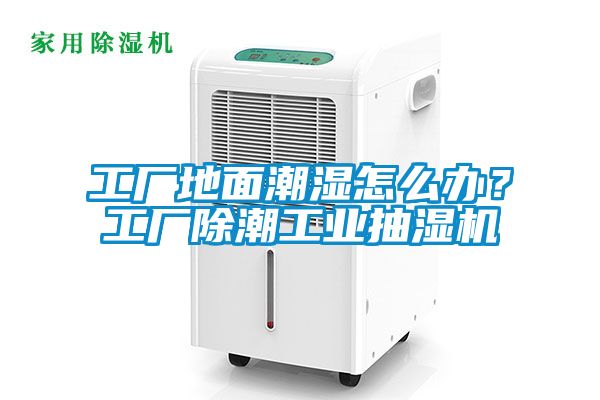 工廠地面潮濕怎么辦？工廠除潮工業(yè)抽濕機