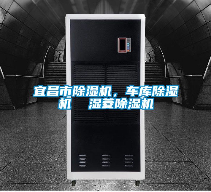 宜昌市除濕機(jī)，車庫(kù)除濕機(jī)  濕菱除濕機(jī)