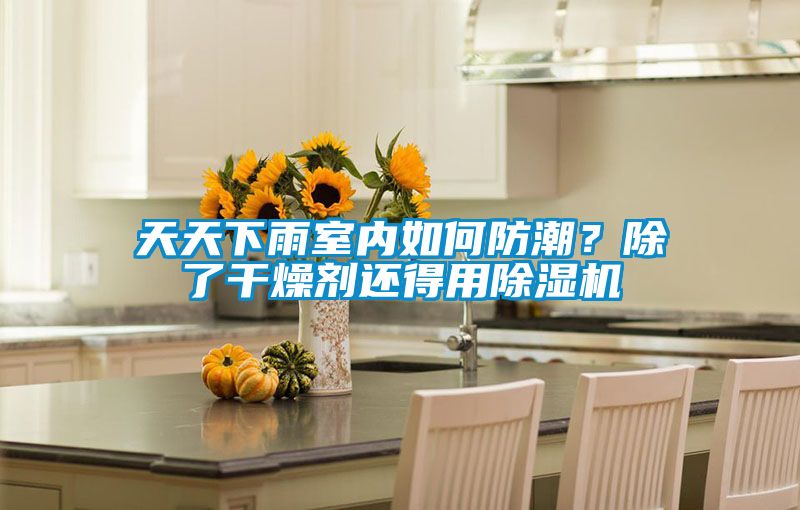 天天下雨室內(nèi)如何防潮？除了干燥劑還得用除濕機(jī)