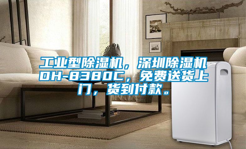 工業(yè)型除濕機(jī)，深圳除濕機(jī)DH-8380C，免費(fèi)送貨上門(mén)，貨到付款。