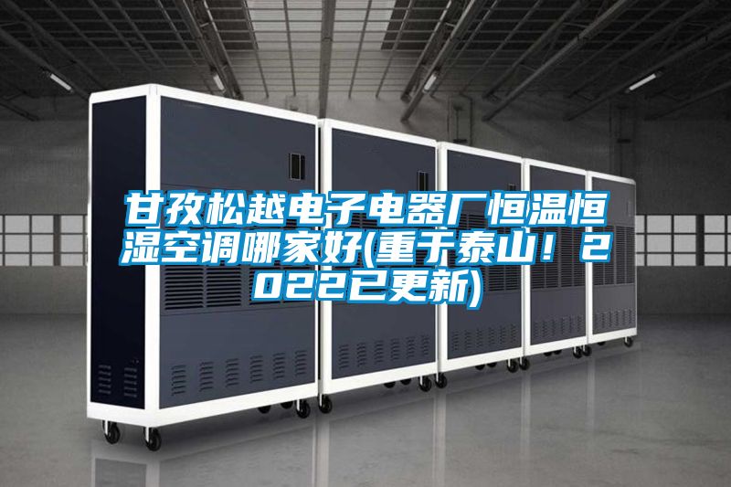甘孜松越電子電器廠恒溫恒濕空調(diào)哪家好(重于泰山！2022已更新)