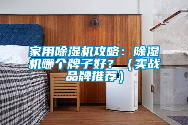 家用除濕機(jī)攻略：除濕機(jī)哪個(gè)牌子好？（實(shí)戰(zhàn)品牌推薦）