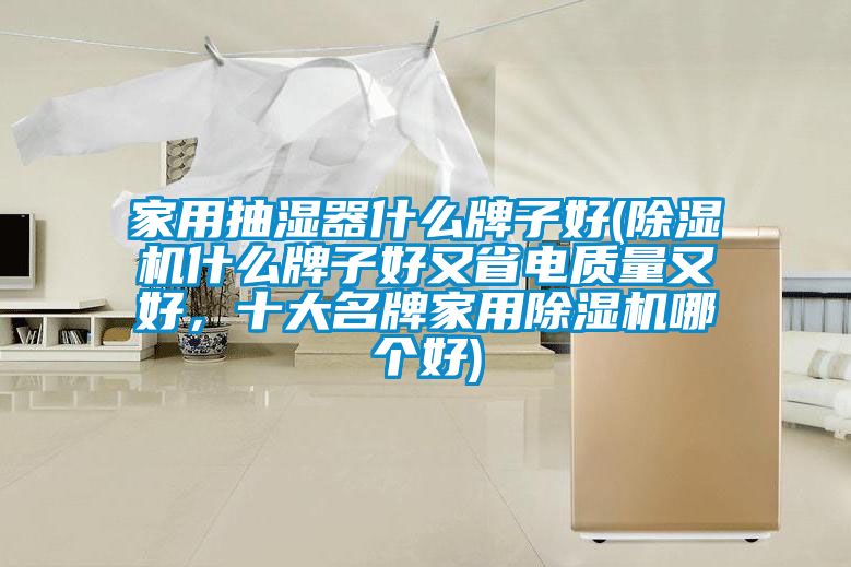 家用抽濕器什么牌子好(除濕機什么牌子好又省電質(zhì)量又好，十大名牌家用除濕機哪個好)