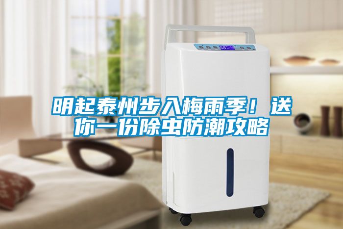 明起泰州步入梅雨季！送你一份除蟲防潮攻略