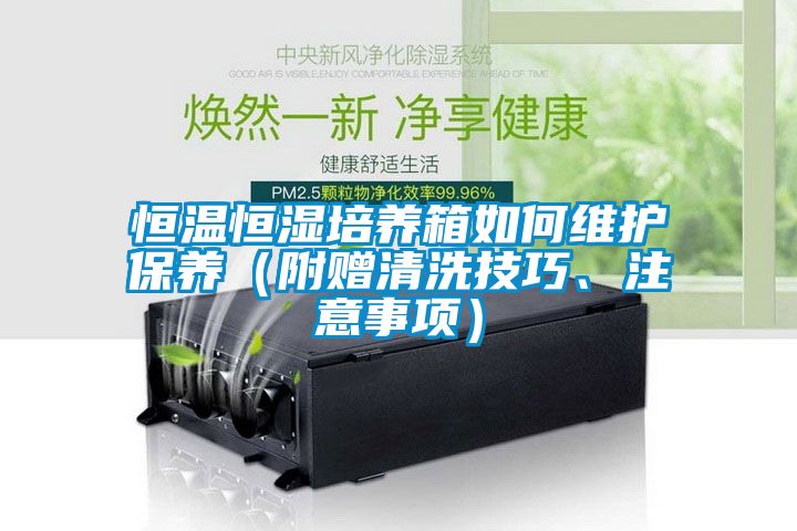 恒溫恒濕培養(yǎng)箱如何維護(hù)保養(yǎng)（附贈(zèng)清洗技巧、注意事項(xiàng)）