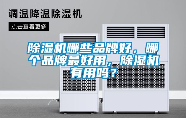 除濕機哪些品牌好，哪個品牌最好用，除濕機有用嗎？
