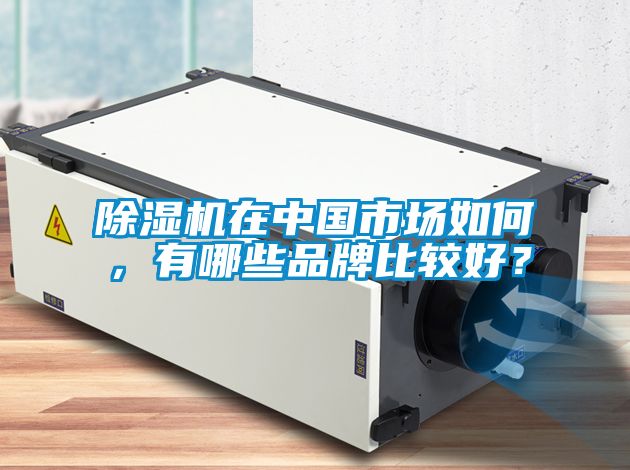 除濕機(jī)在中國(guó)市場(chǎng)如何，有哪些品牌比較好？