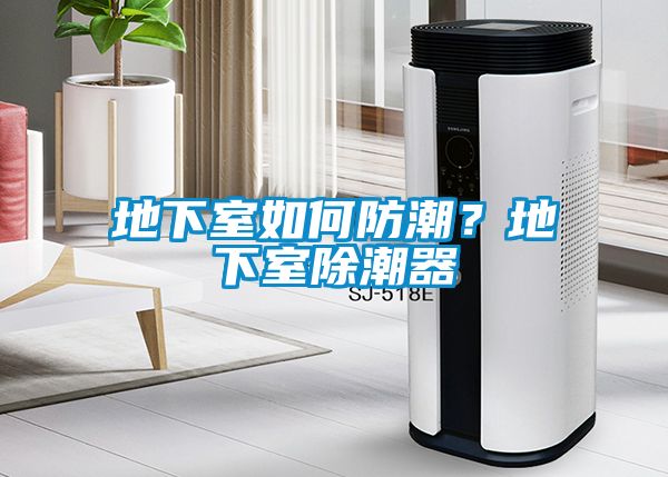 地下室如何防潮？地下室除潮器