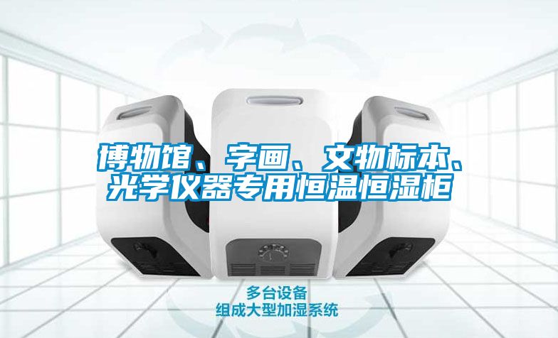 博物館、字畫、文物標(biāo)本、光學(xué)儀器專用恒溫恒濕柜