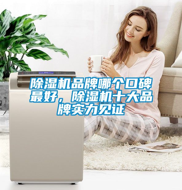 除濕機品牌哪個口碑最好，除濕機十大品牌實力見證