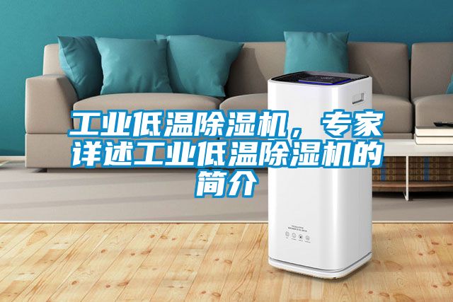 工業(yè)低溫除濕機(jī)，專家詳述工業(yè)低溫除濕機(jī)的簡介