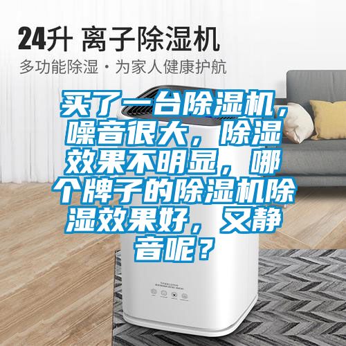 買了一臺除濕機，噪音很大，除濕效果不明顯，哪個牌子的除濕機除濕效果好，又靜音呢？