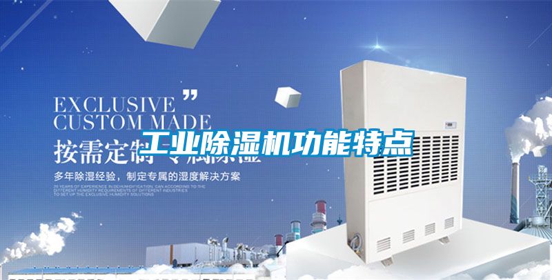 工業(yè)除濕機(jī)功能特點