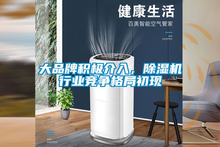 大品牌積極介入，除濕機行業(yè)競爭格局初現(xiàn)