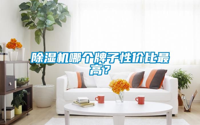 除濕機(jī)哪個(gè)牌子性價(jià)比最高？