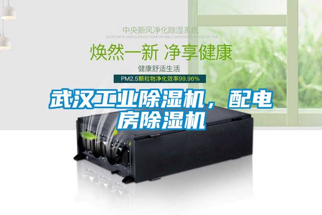 武漢工業(yè)除濕機(jī)，配電房除濕機(jī)